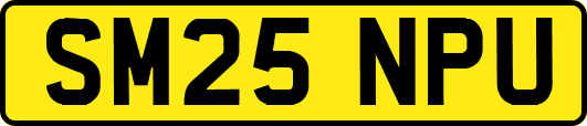 SM25NPU