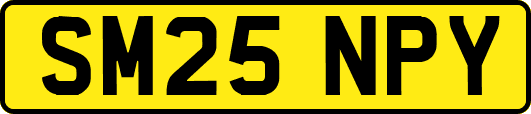 SM25NPY