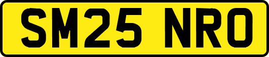 SM25NRO