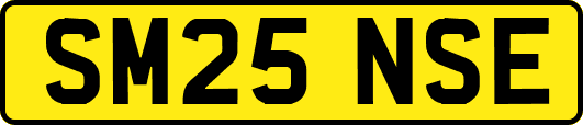 SM25NSE