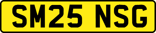 SM25NSG