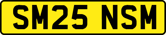 SM25NSM