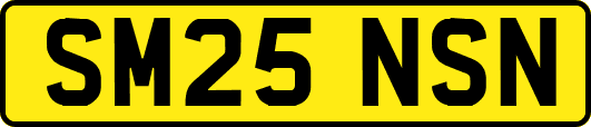 SM25NSN