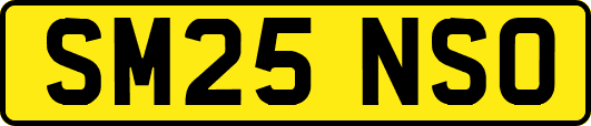 SM25NSO