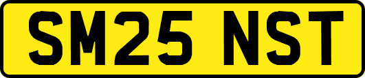 SM25NST