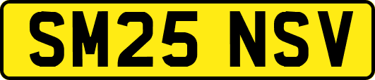 SM25NSV