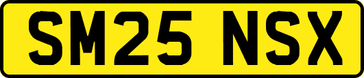 SM25NSX