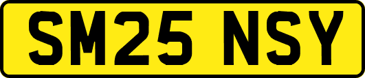 SM25NSY