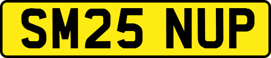 SM25NUP
