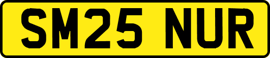 SM25NUR