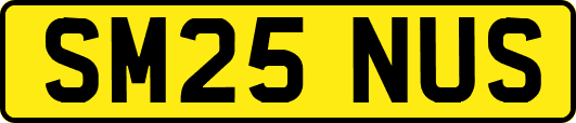 SM25NUS