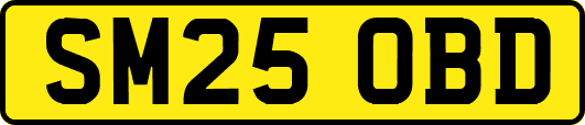 SM25OBD
