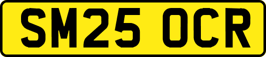SM25OCR
