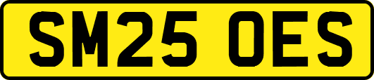SM25OES