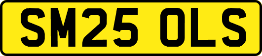 SM25OLS