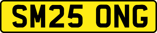 SM25ONG