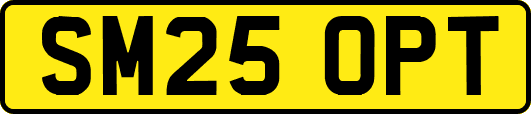 SM25OPT