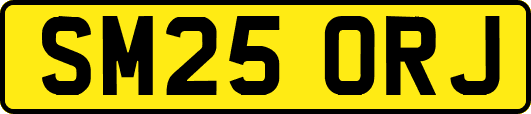 SM25ORJ