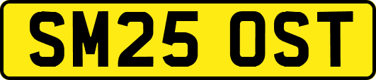 SM25OST