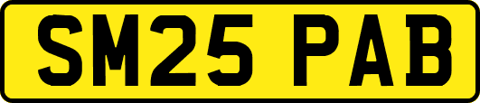 SM25PAB