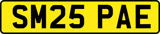 SM25PAE