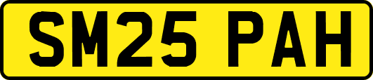 SM25PAH