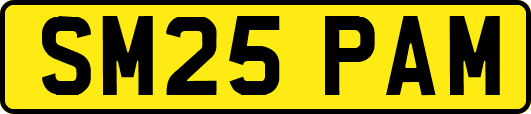 SM25PAM