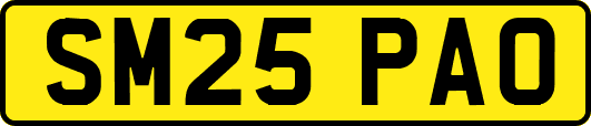 SM25PAO