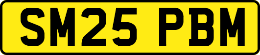 SM25PBM