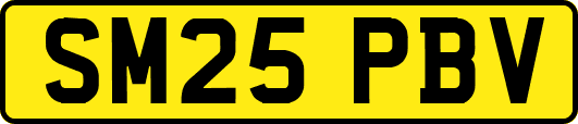 SM25PBV