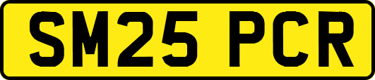 SM25PCR