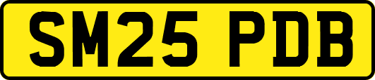 SM25PDB
