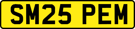 SM25PEM