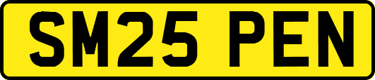 SM25PEN