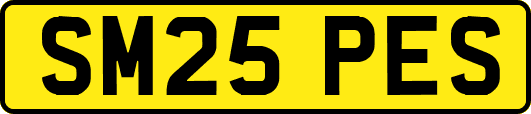 SM25PES