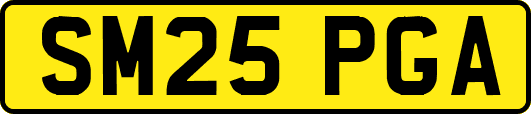 SM25PGA