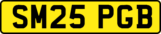 SM25PGB
