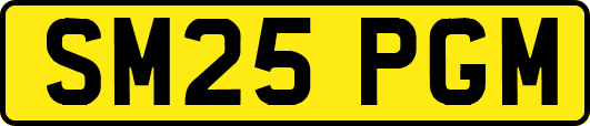 SM25PGM