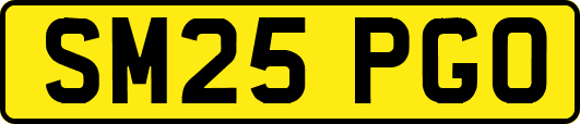 SM25PGO