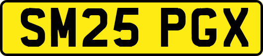 SM25PGX