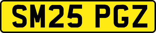 SM25PGZ