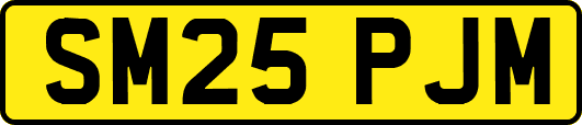 SM25PJM