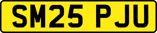 SM25PJU