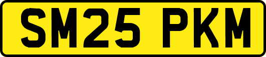 SM25PKM