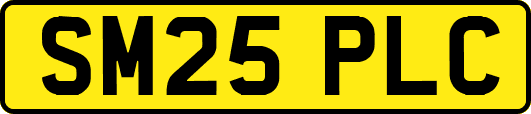 SM25PLC