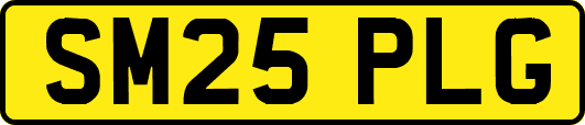 SM25PLG