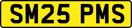 SM25PMS