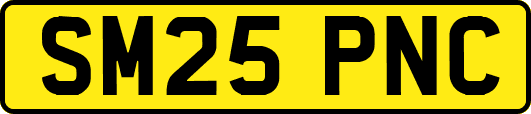 SM25PNC