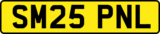 SM25PNL