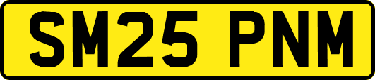 SM25PNM